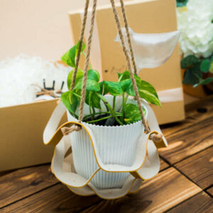 Blooms in its Own Plant Lover's Gift Set Plant Hanger